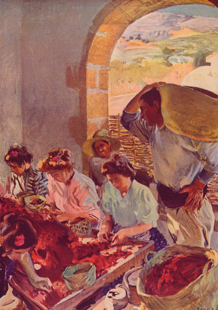 Kuru Üzümlerin Hazırlanması, 1890, c1932 by Joaquín Sorolla