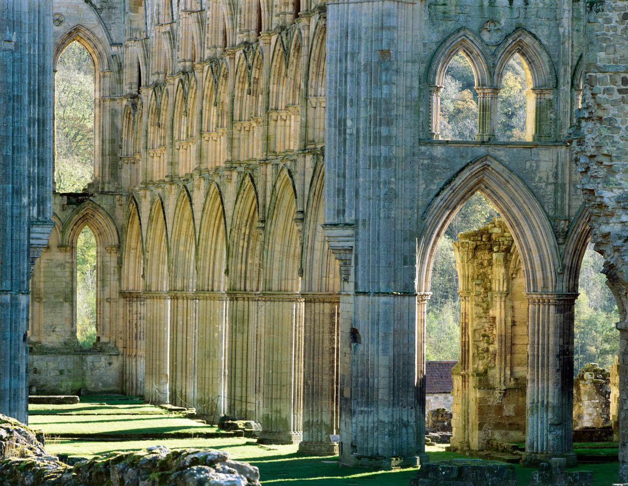 Rievaulx Manastırı, c1990-2010 by Joe Cornish