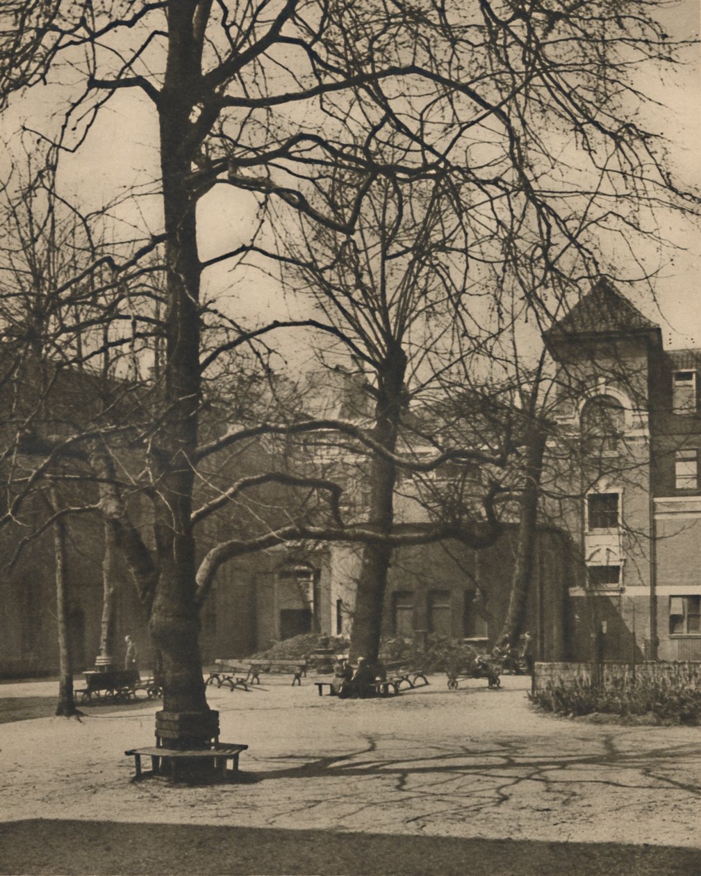 Middlesex Hastanesi Avlusunda Karaağaçların Altında, c1935. by Joel