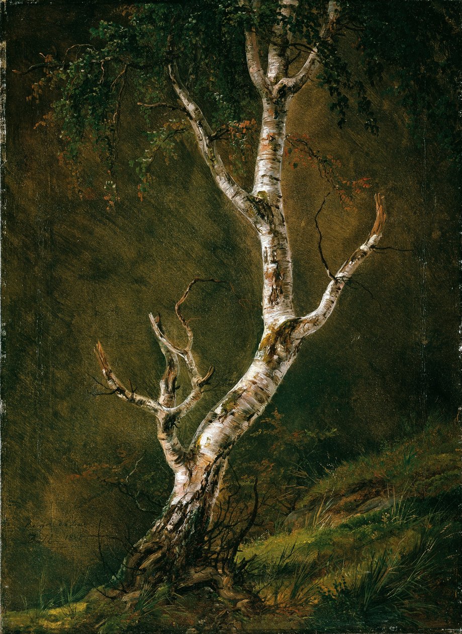 Huş Ağacı Çalışması by Johan Christian Dahl