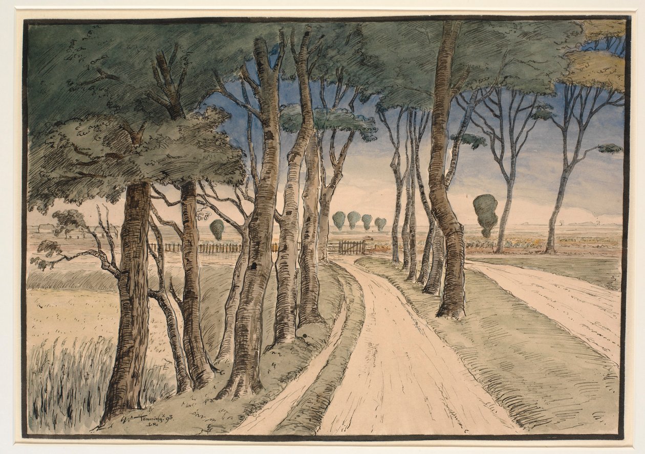 Alan manzarası. Ön planda ağaçları olan bir yol by Johan Rohde