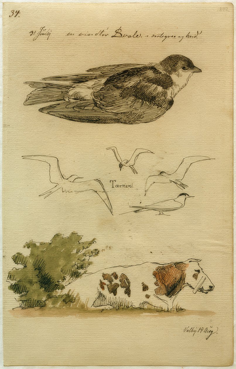 J. Th. Lundbye, kırlangıç, kırlangıçlar, yalancı inek by Johan Thomas Lundbye