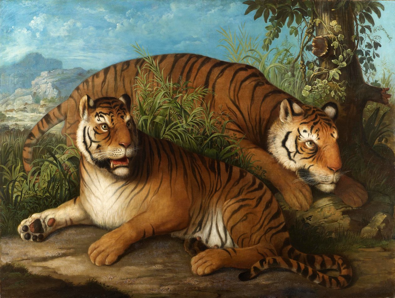 Kraliyet Bengal Kaplanları by Johan Wenzel Peter