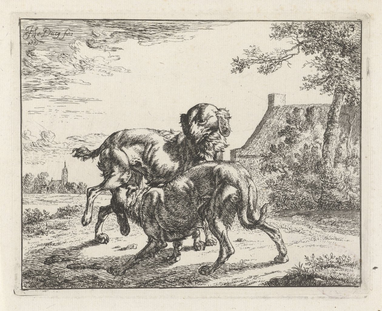 köpek ve kaltak by Johan le Ducq