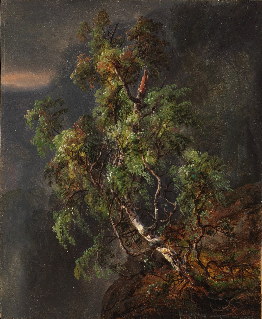  by Johan Christian Dahl