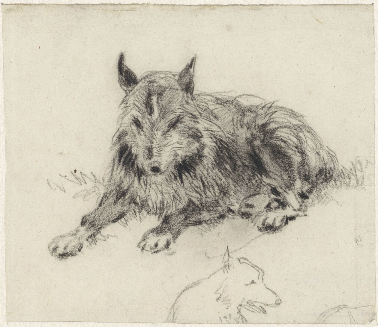 uzanmış çoban köpeği by Johan Daniël Koelman