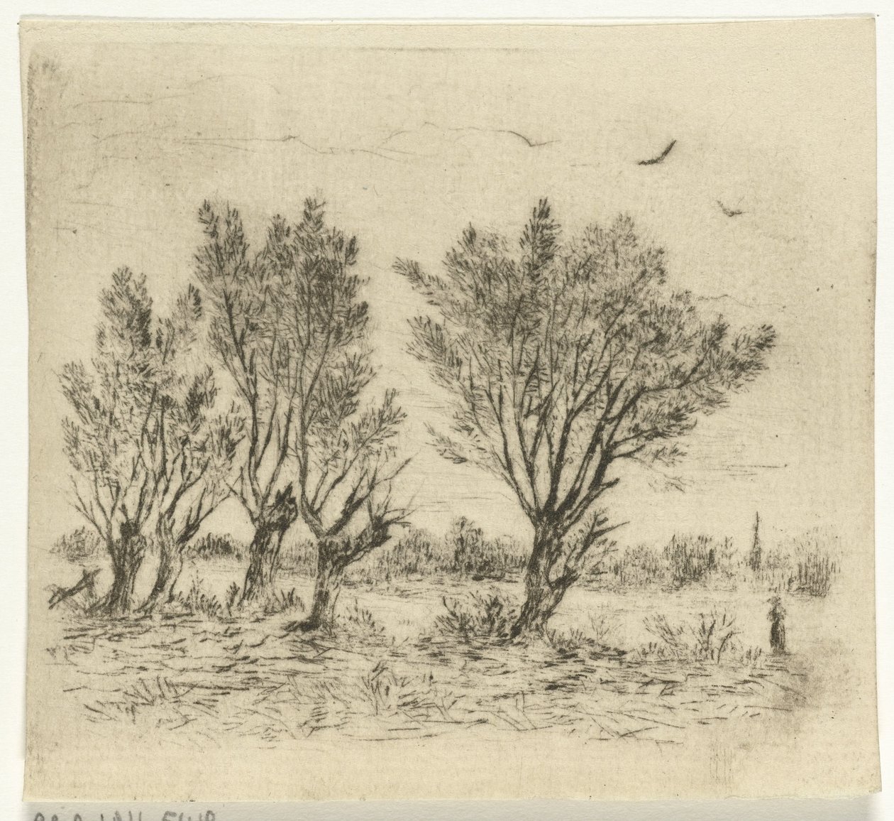 söğüt sırası by Johan Frederik Croockewit