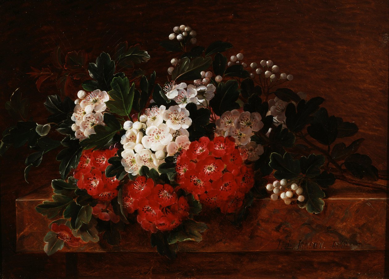 Mermer bir çıkıntı üzerinde sarmaşıklar. Johan Laurentz Jensen (1800-1856) tarafından yapılmış resim Özel koleksiyon. by Johan Laurents Jensen