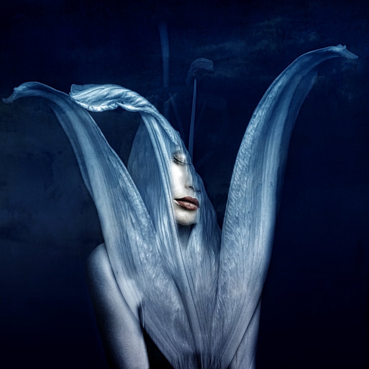 Güzel canavarlar 3, 2018 (dijital fotoğraf sanatı) by Johan Lilja