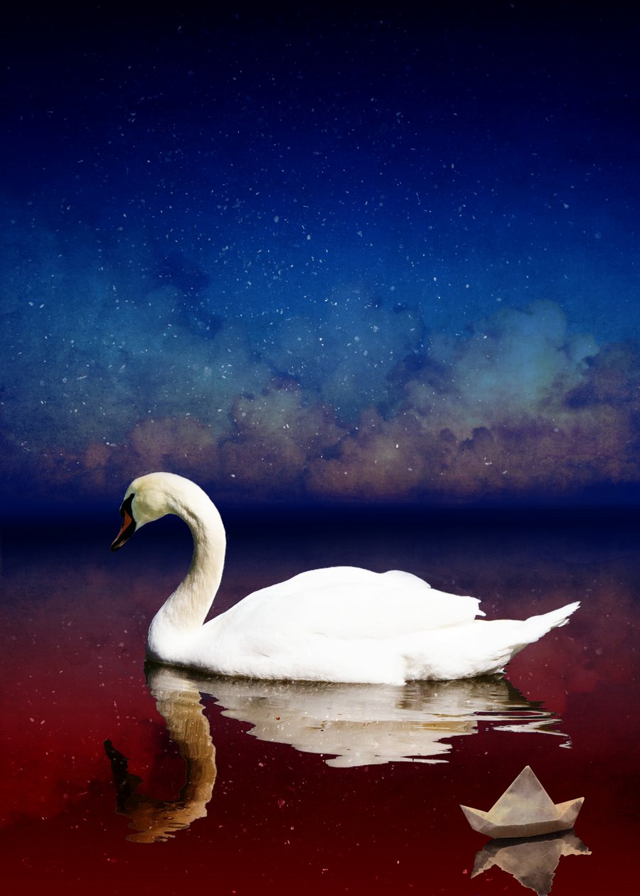 Bird Kingdom 4, 2018 (dijital fotoğraf sanatı) by Johan Lilja