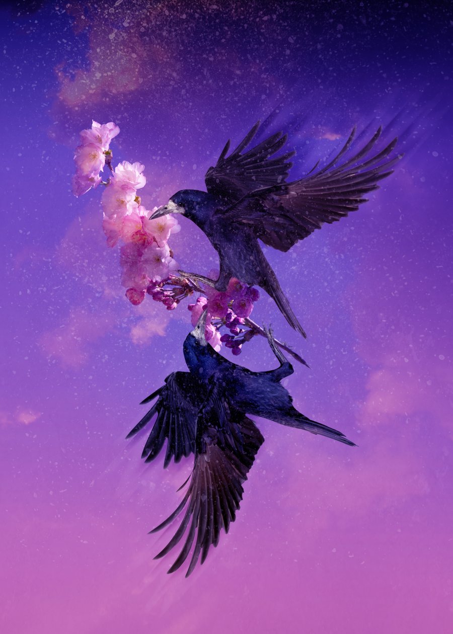Bird Kingdom 5, 2018 (dijital fotoğraf sanatı) by Johan Lilja
