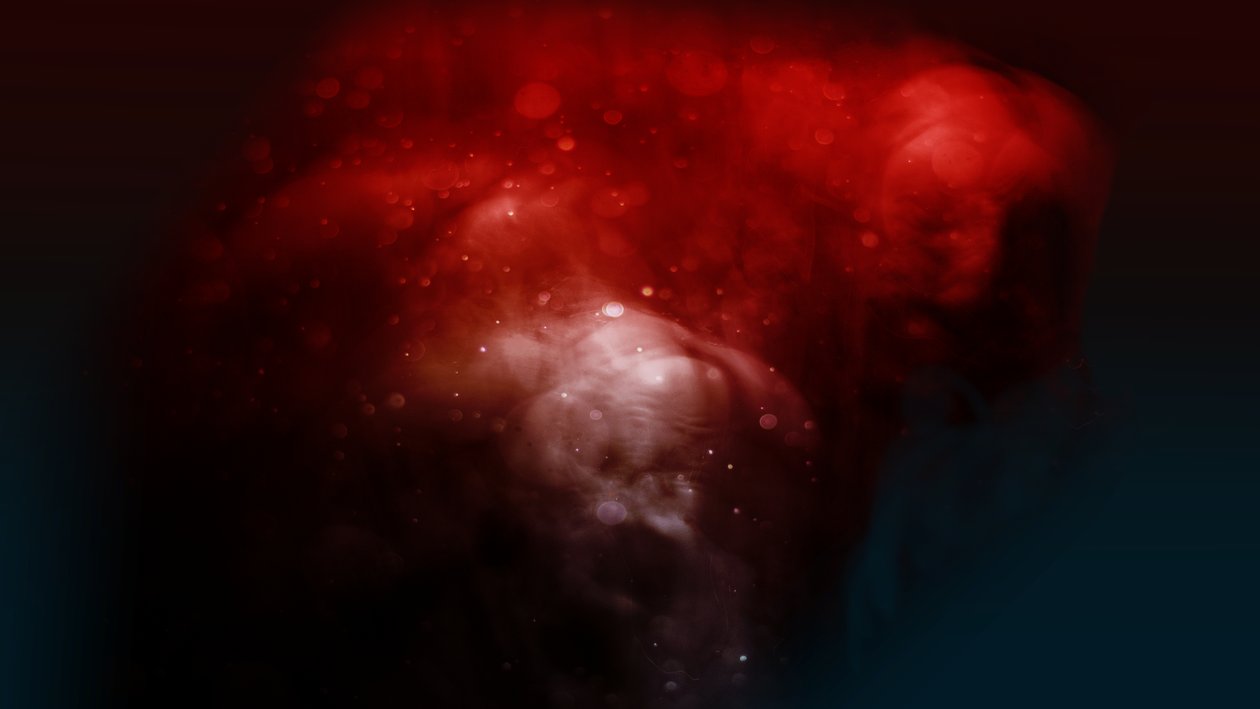 Bloodline The Çirkin, 2019 (fotoğraf) by Johan Lilja