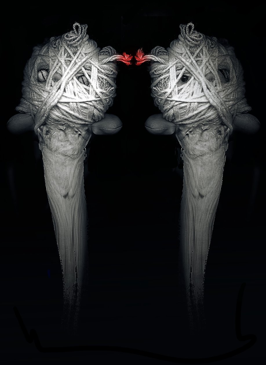 Kardeşler, 2013 (fotoğraf) by Johan Lilja