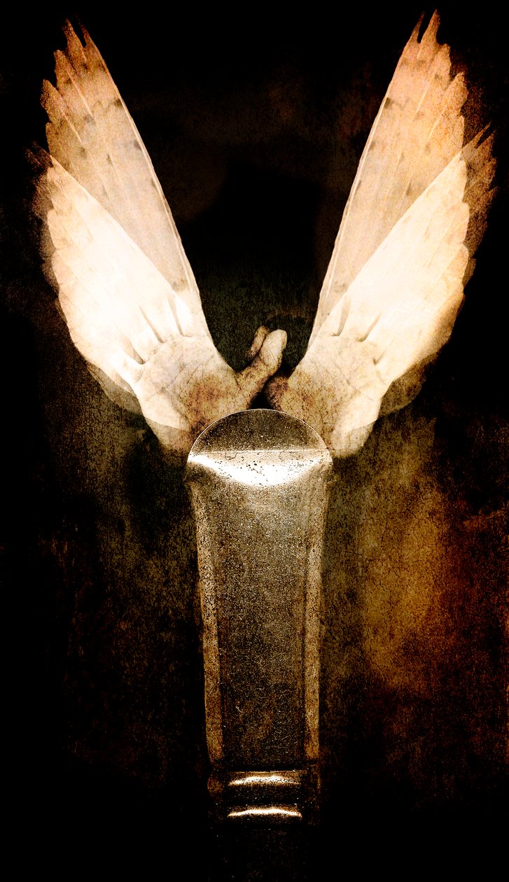 Fırça, 2013 (fotoğraf manipülasyonu) by Johan Lilja