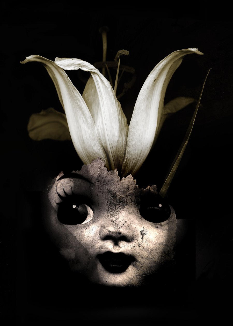 Bebek çiçeği, 2013 (fotoğraf) by Johan Lilja