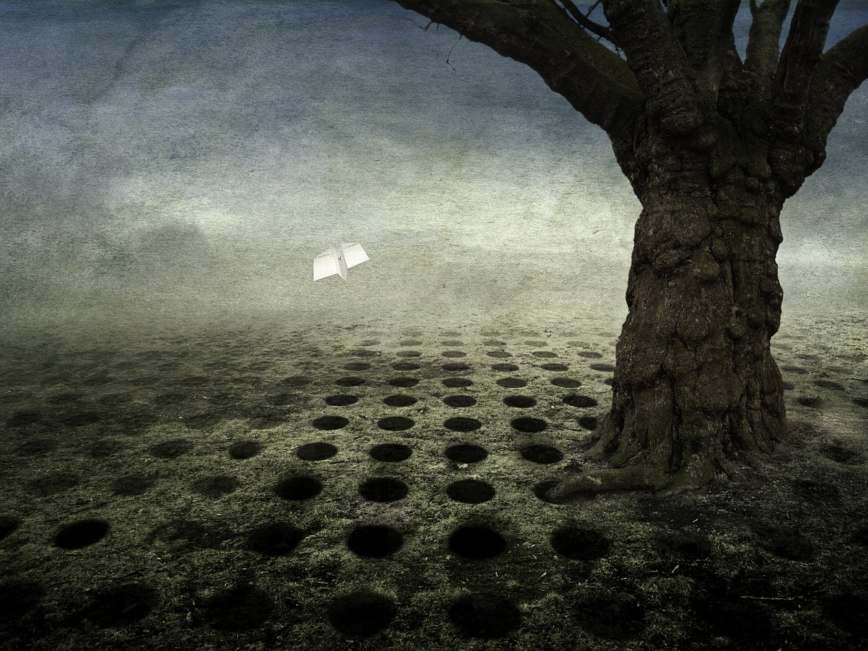 Boş delikler, 2014 (fotoğraf) by Johan Lilja
