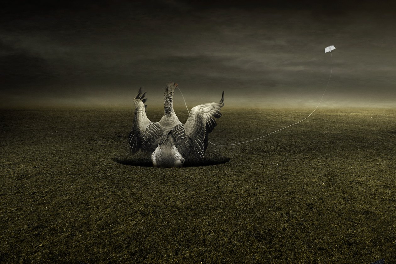 Yolda yardım, 2013 (fotoğraf) by Johan Lilja
