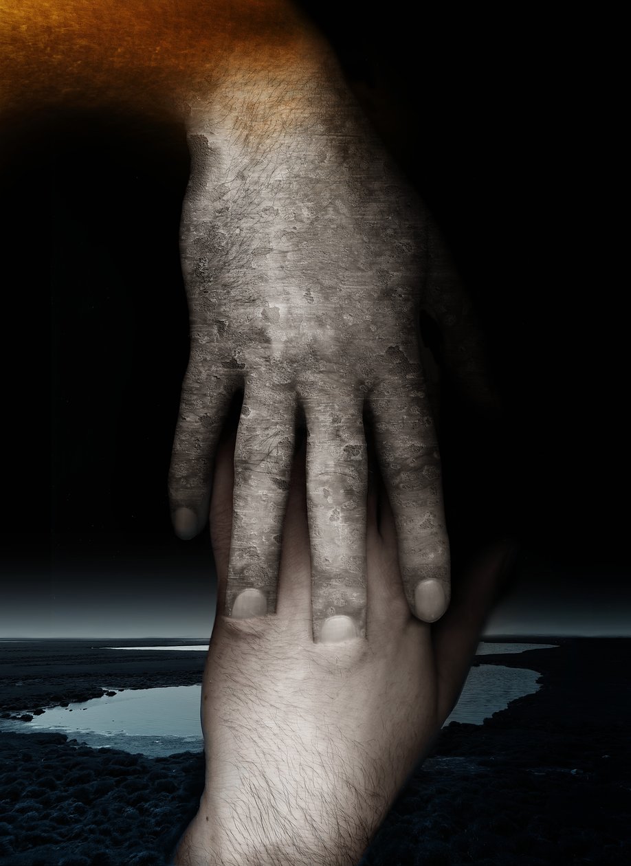 Yardım eli, 2013 (fotoğraf) by Johan Lilja
