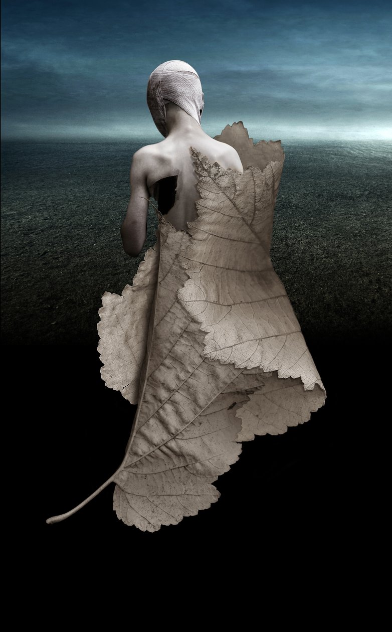 Hurt, 2015 (fotoğraf) by Johan Lilja