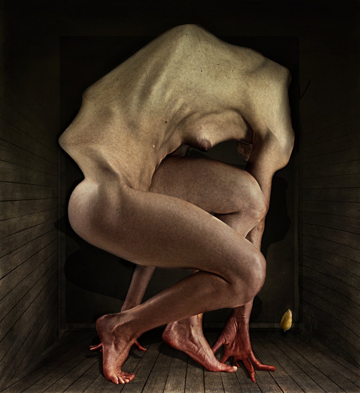 Utanç, 2012 (fotoğraf) by Johan Lilja