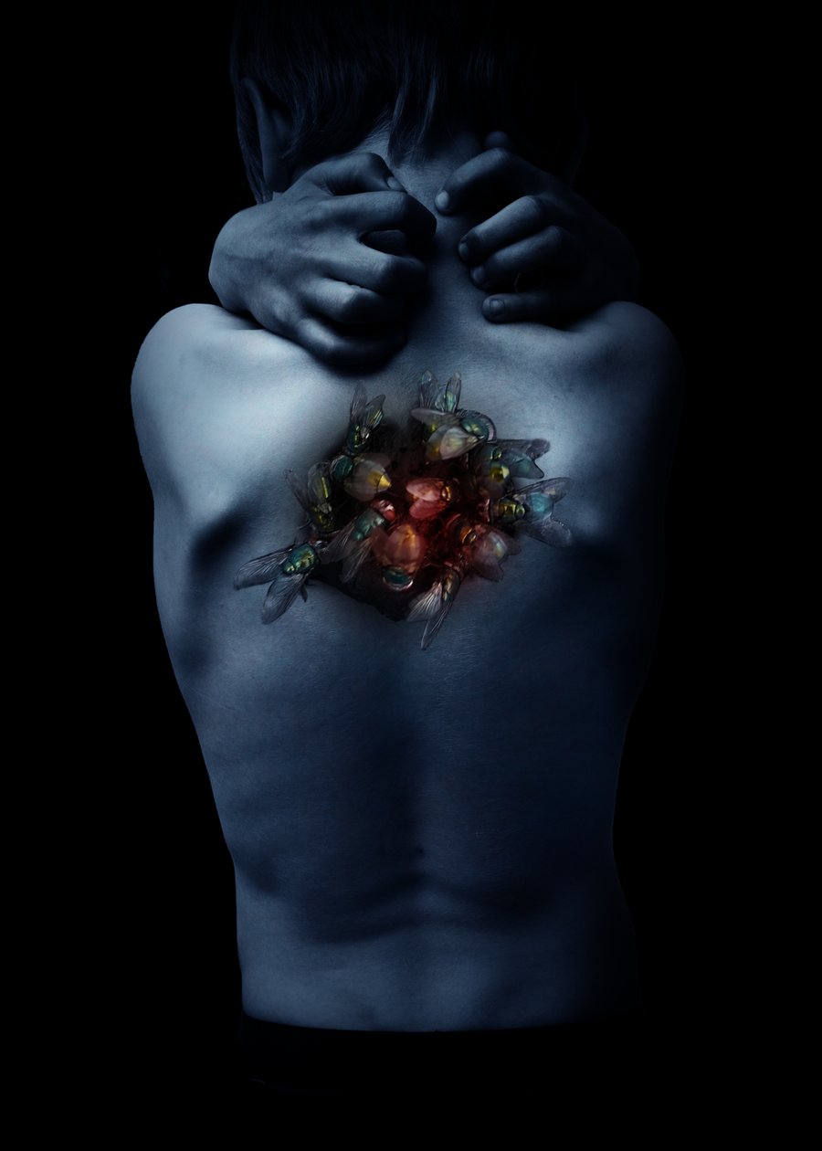 Sinek, 2018 (fotoğraf) by Johan Lilja