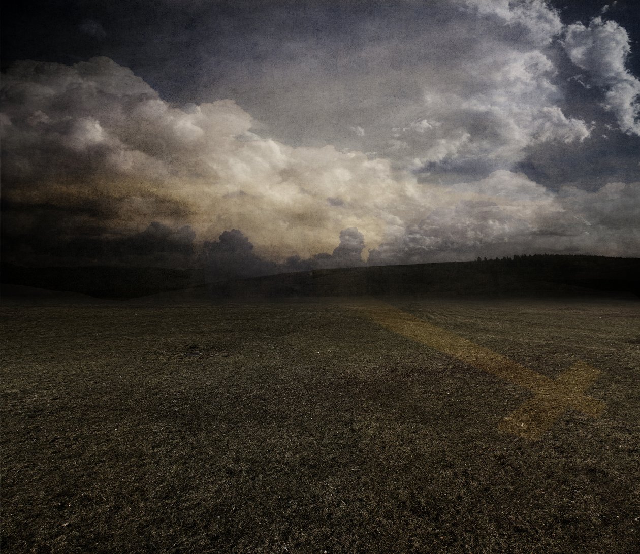 Lale, 2015 (fotoğraf) by Johan Lilja