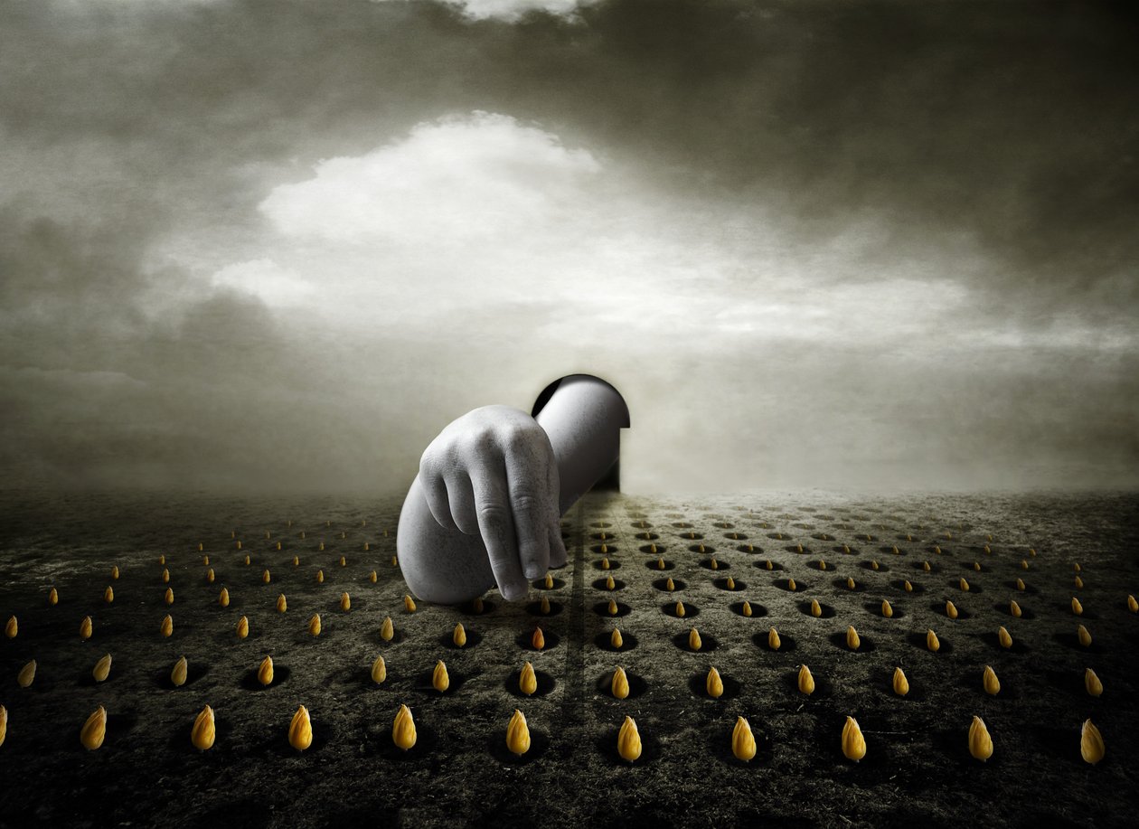 Lale hırsızı, 2013 (fotoğraf) by Johan Lilja
