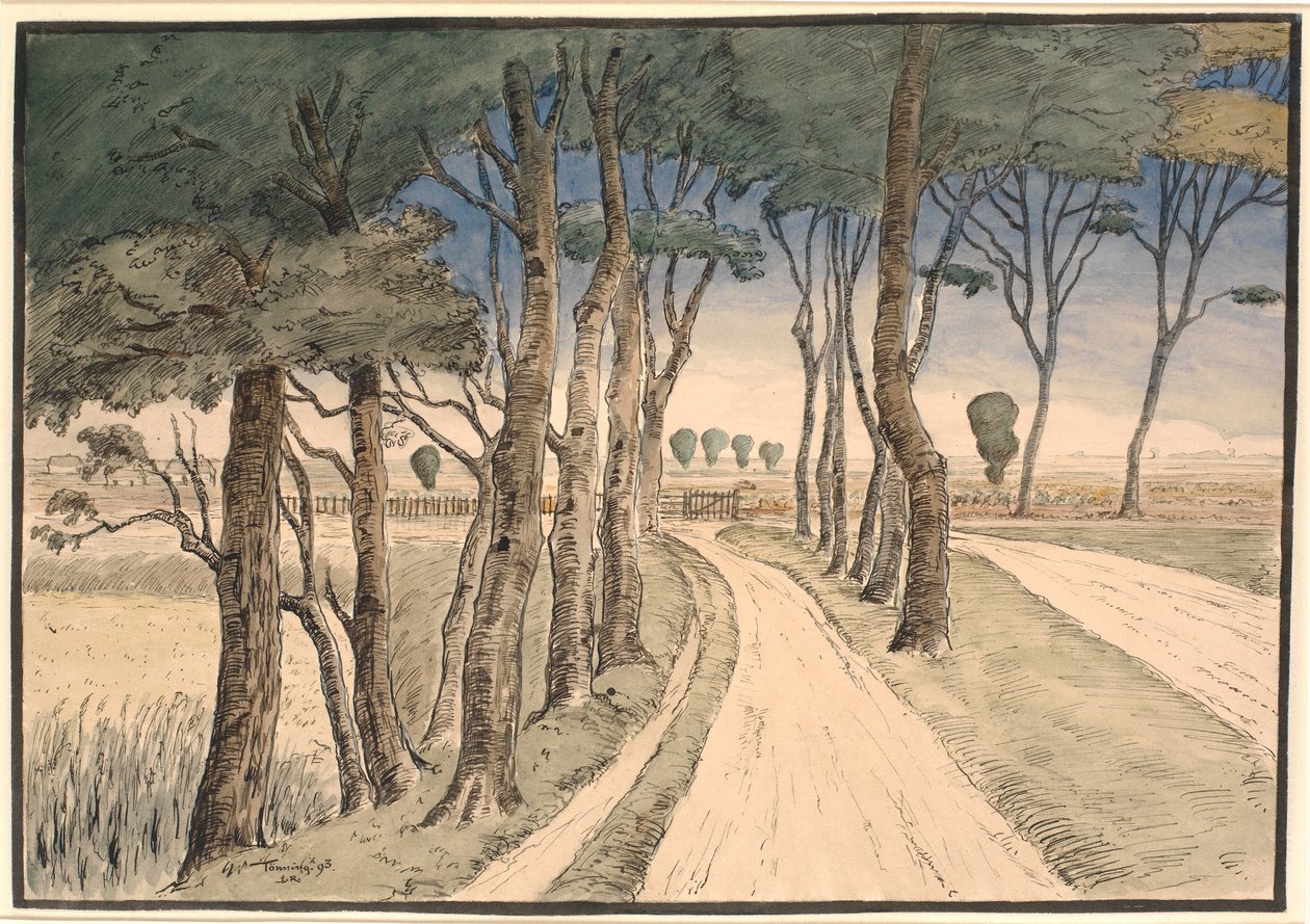 Alan manzarası. Ön planda ağaçları olan bir yol by Johan Rohde