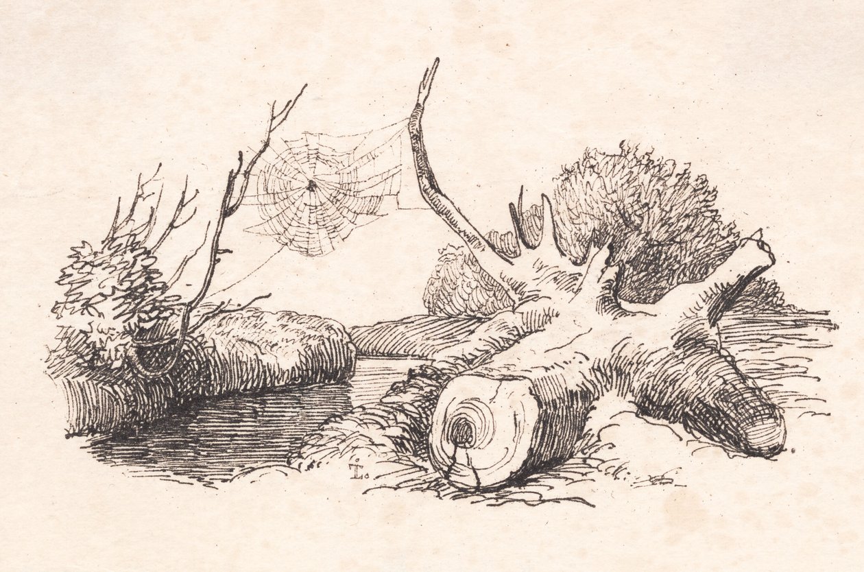 örümcekler by Johan Thomas Lundbye