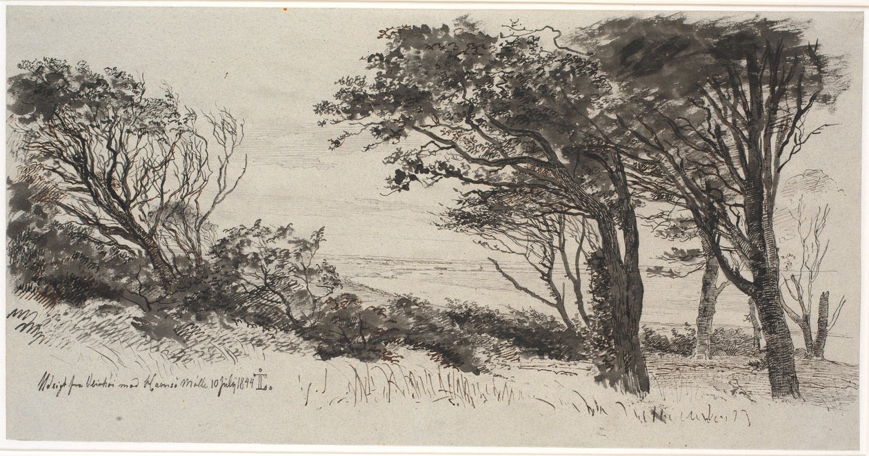 Rüzgarlı ağaçlar. hava yüksek by Johan Thomas Lundbye