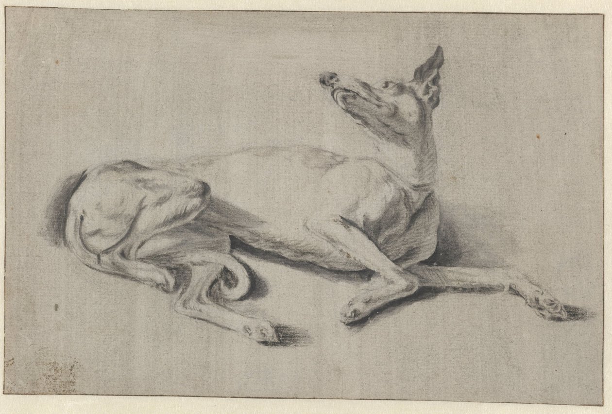 uzanmış tazı by Johan le Ducq (possibly)