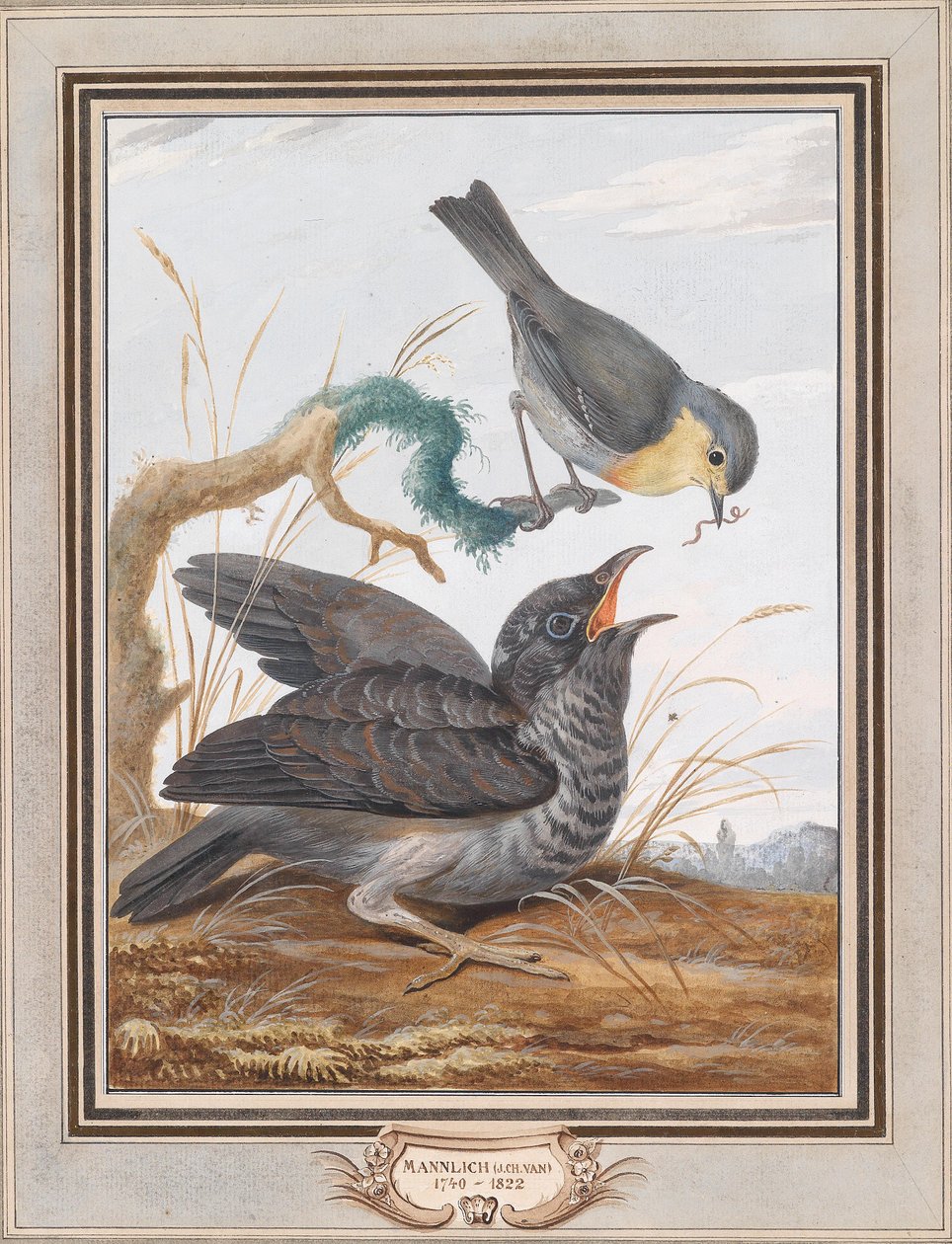 Bir ardıç kuşu guguk kuşunu besler by Johann Christian von Mannlich