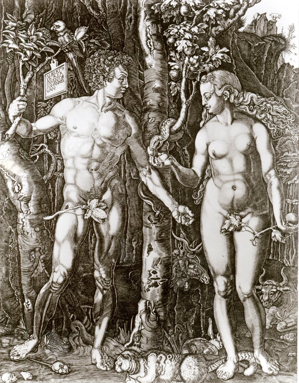 Adem ve Havva, Albrecht Durer