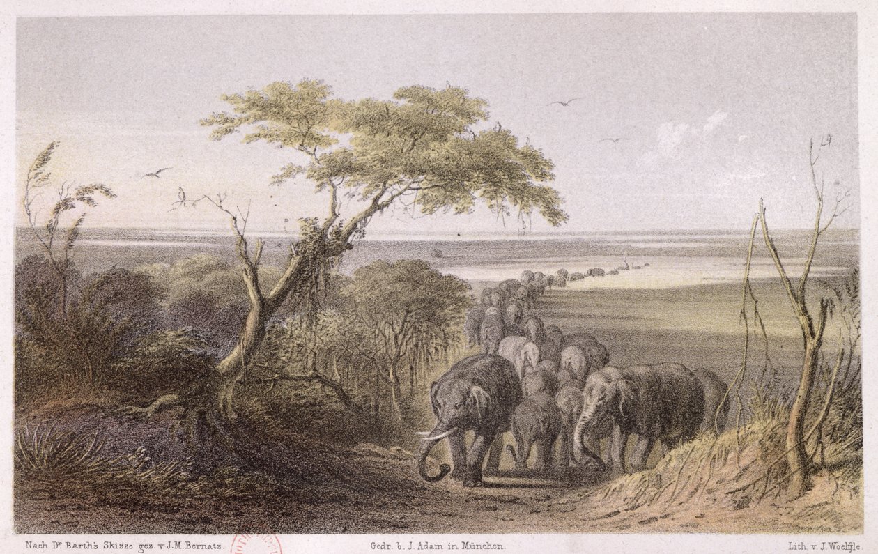 Heinrich Barth (1821-65) tarafından 