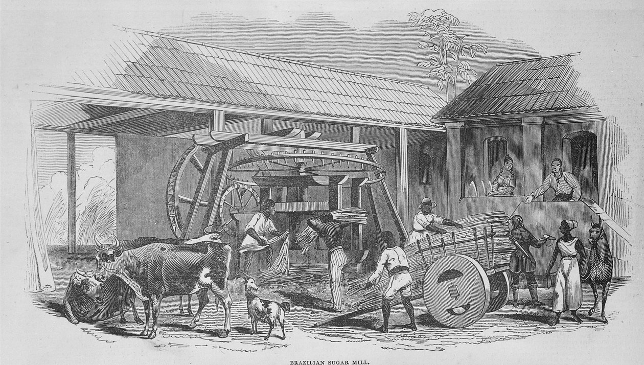 Şeker Fabrikası, c.1835 by Johann Moritz Rugendas