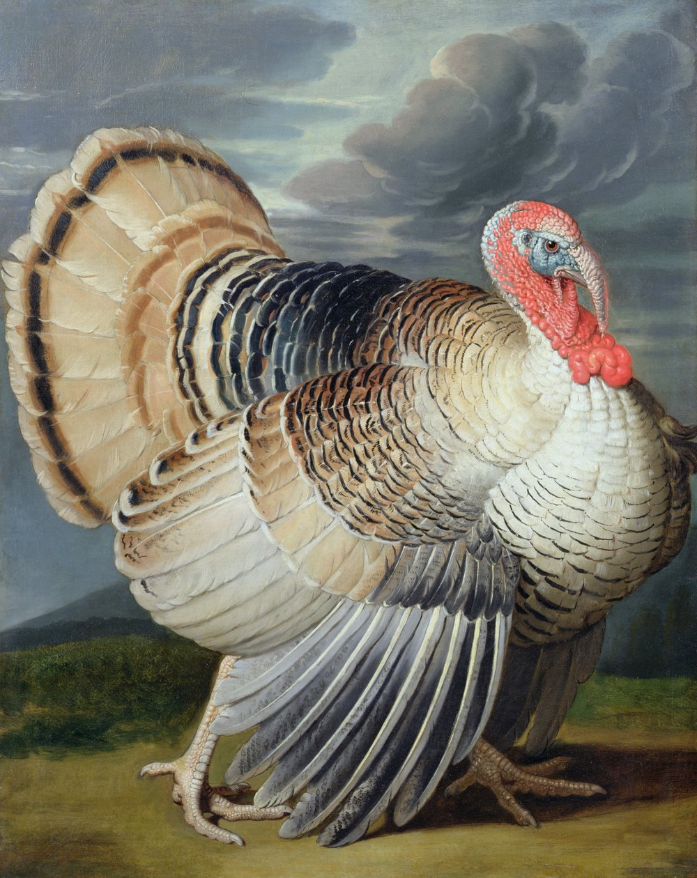 Bir Türkiye