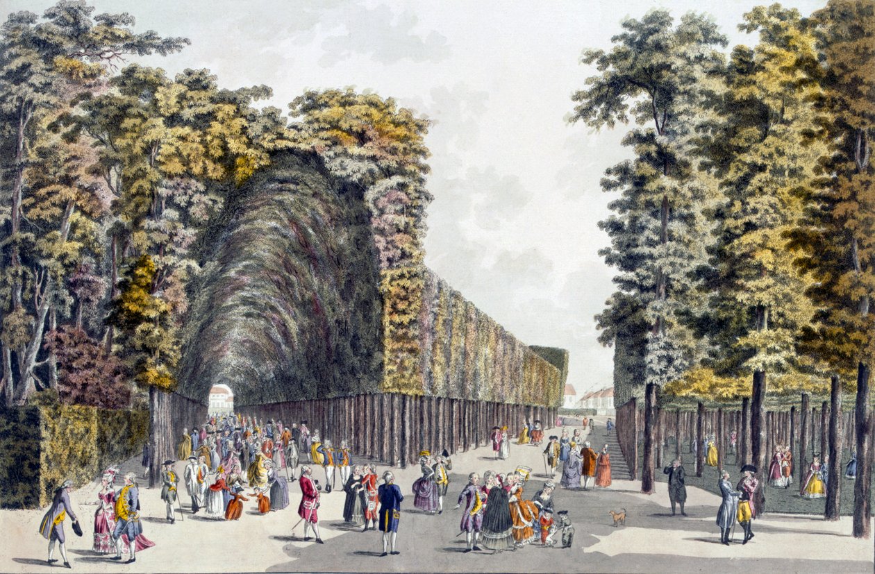 Limegrove Yürüyüşü, Augarten, Viyana, 1790