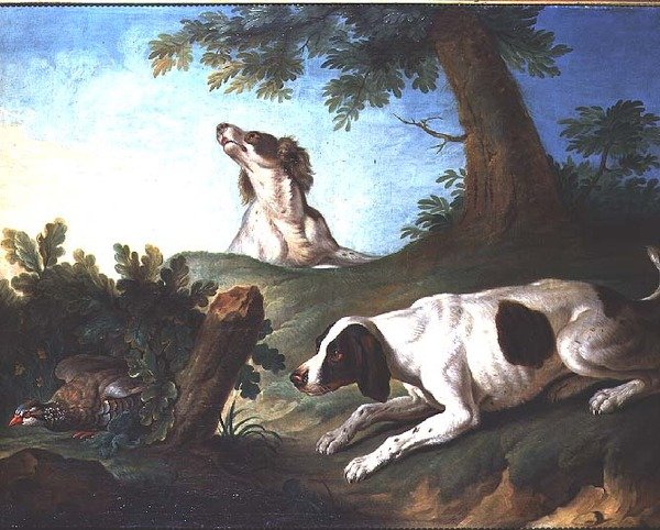 Bir keklik koyarak İspanyollar by Johann Michael Baader