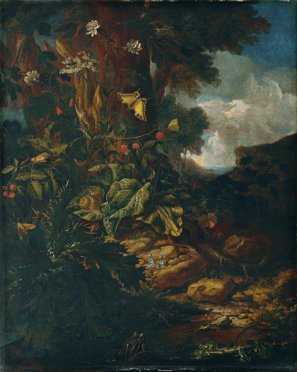 Sürüngenler ve böceklerle dolu manzara (II) by Johann Adalbert Angermayer