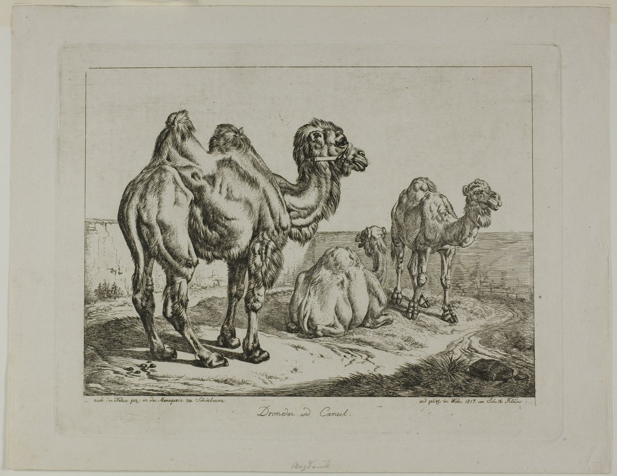  by Johann Adam Klein