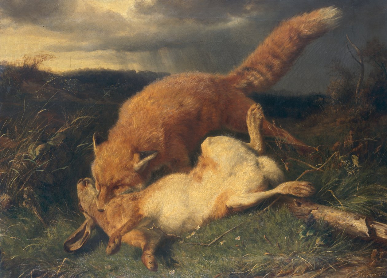Tilki ve Tavşan by Johann Baptist Hofner