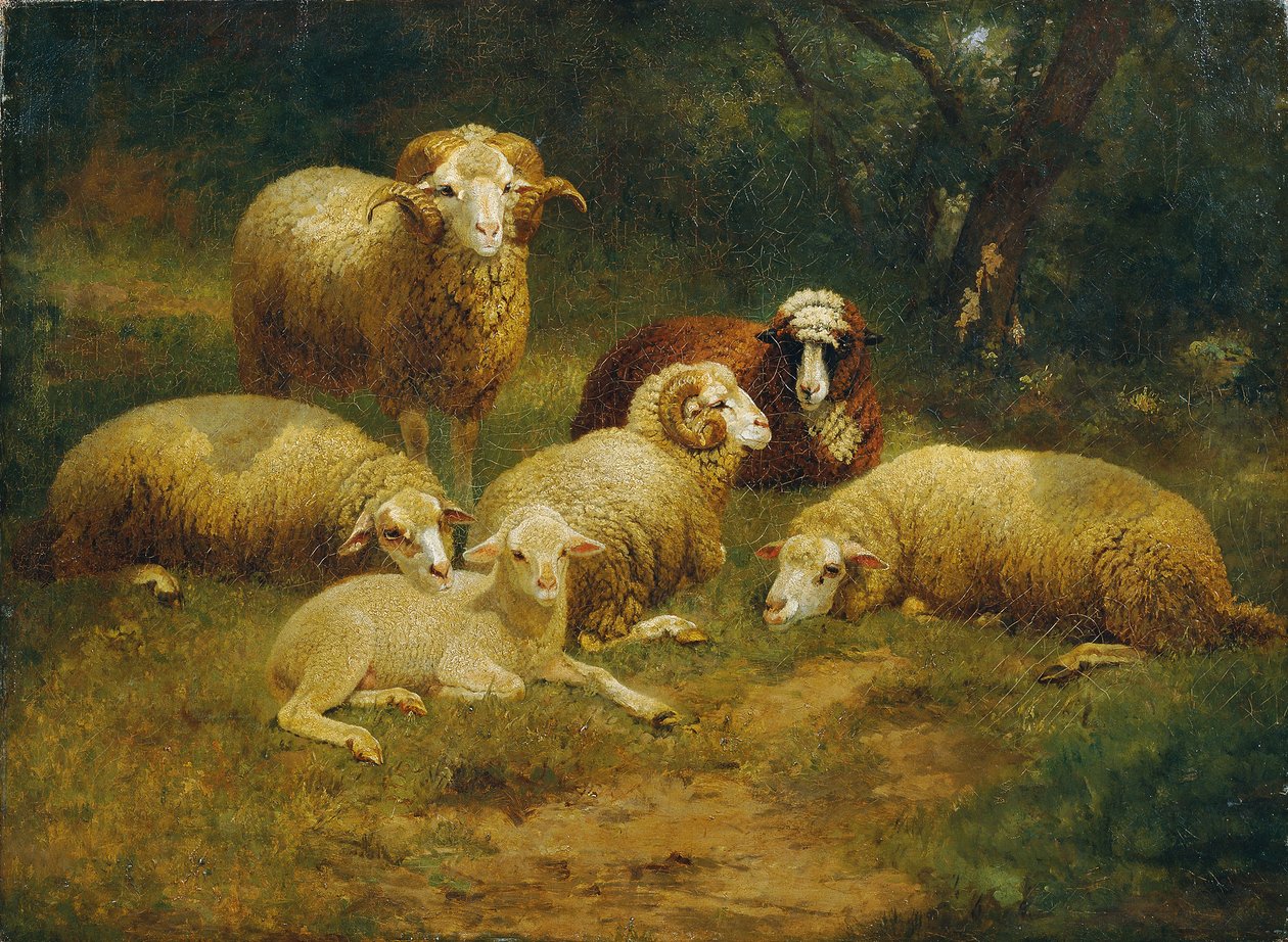 koyun by Johann Baptist Hofner