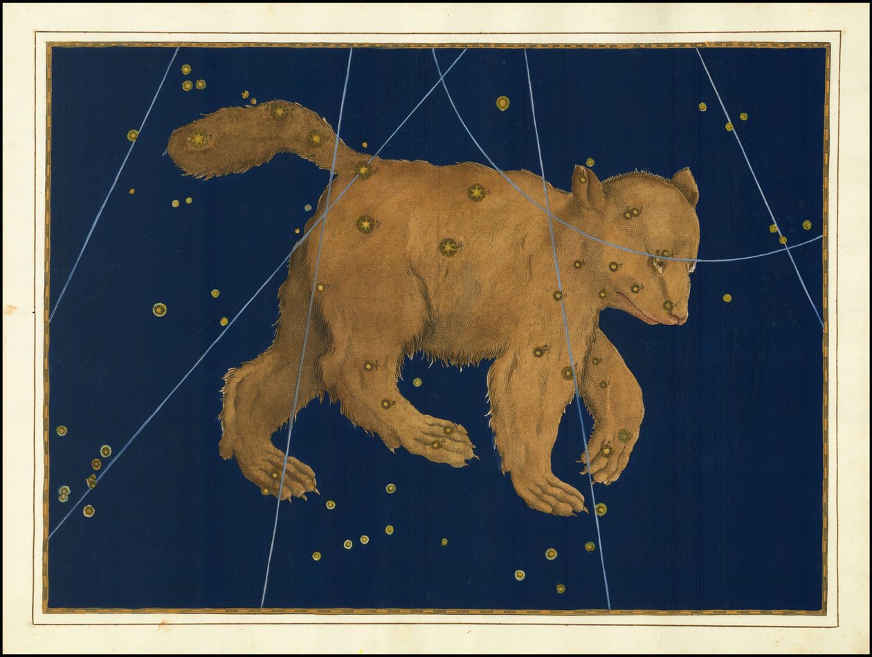 Johann Bayer, Ursa Major by Johann Bayer