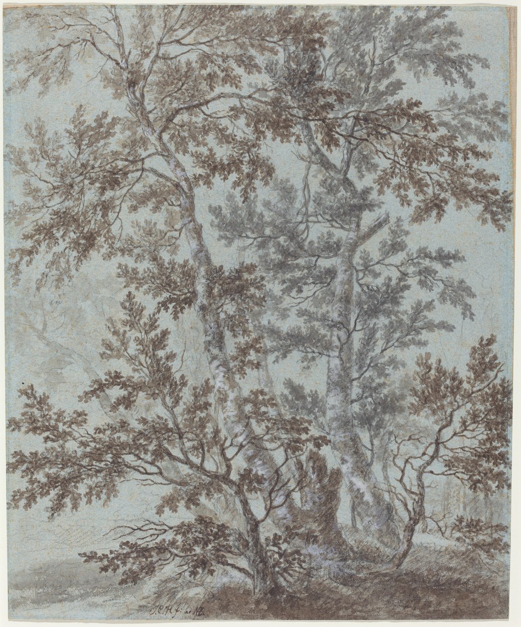 Huş Ağacı Standı by Johann Caspar Huber