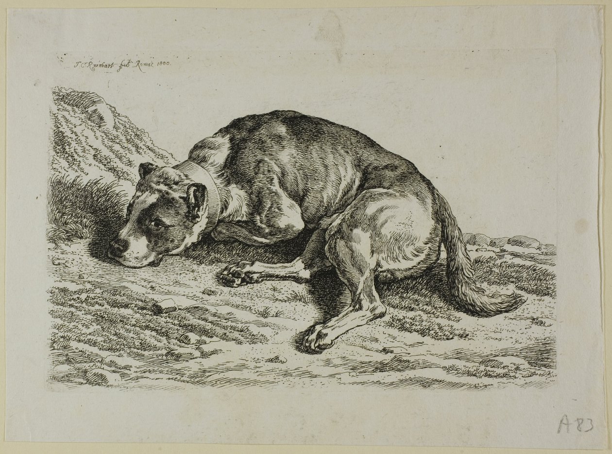 Hırsızın İkinci Ardından Köpeğe Uzanan Köpek by Johann Christian Reinhart