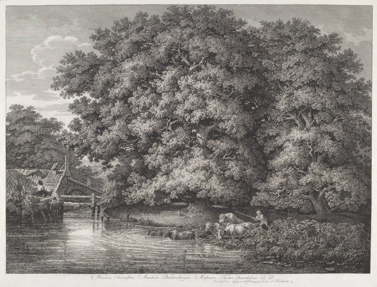 Great Oaks