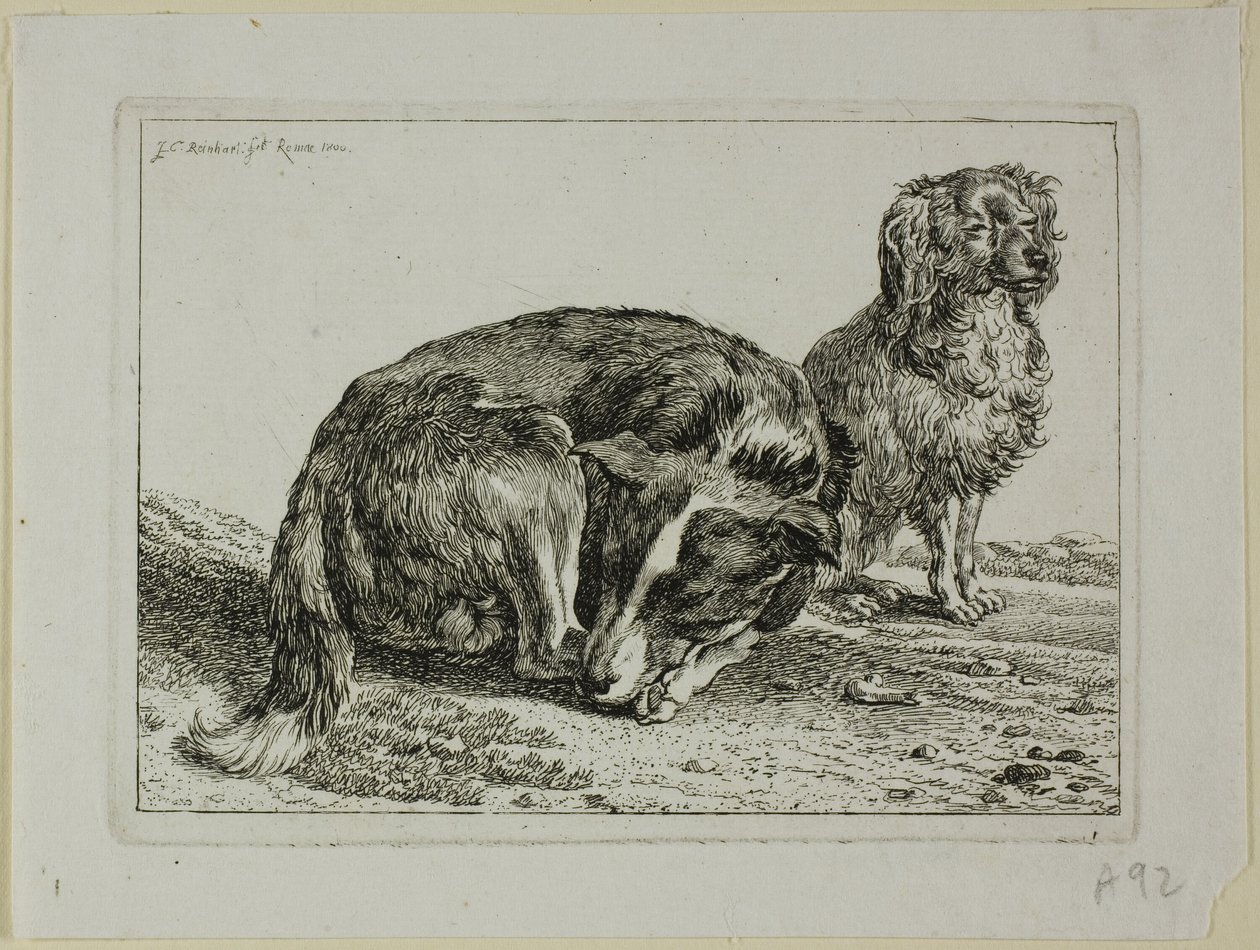 Dinlenen İki Köpek, Die Zweite Thier Folge'den by Johann Christian Reinhart
