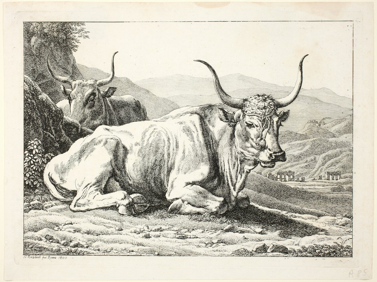 Die Zweite The Erfolge
