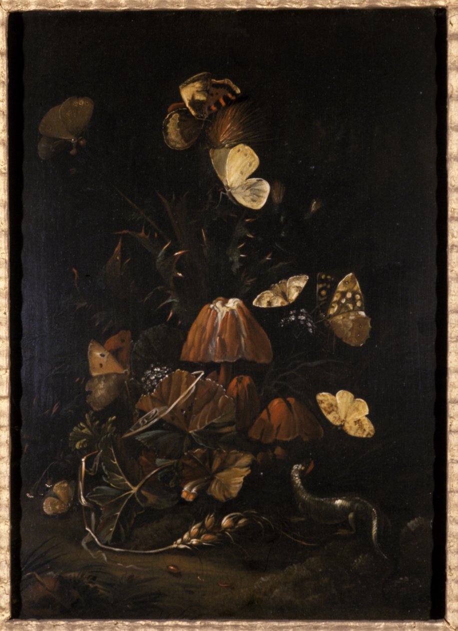Kelebekli ve kertenkeleli çiçekler (meşe ağacı üzerinde yağ) by Johann Christian Thomas Winck