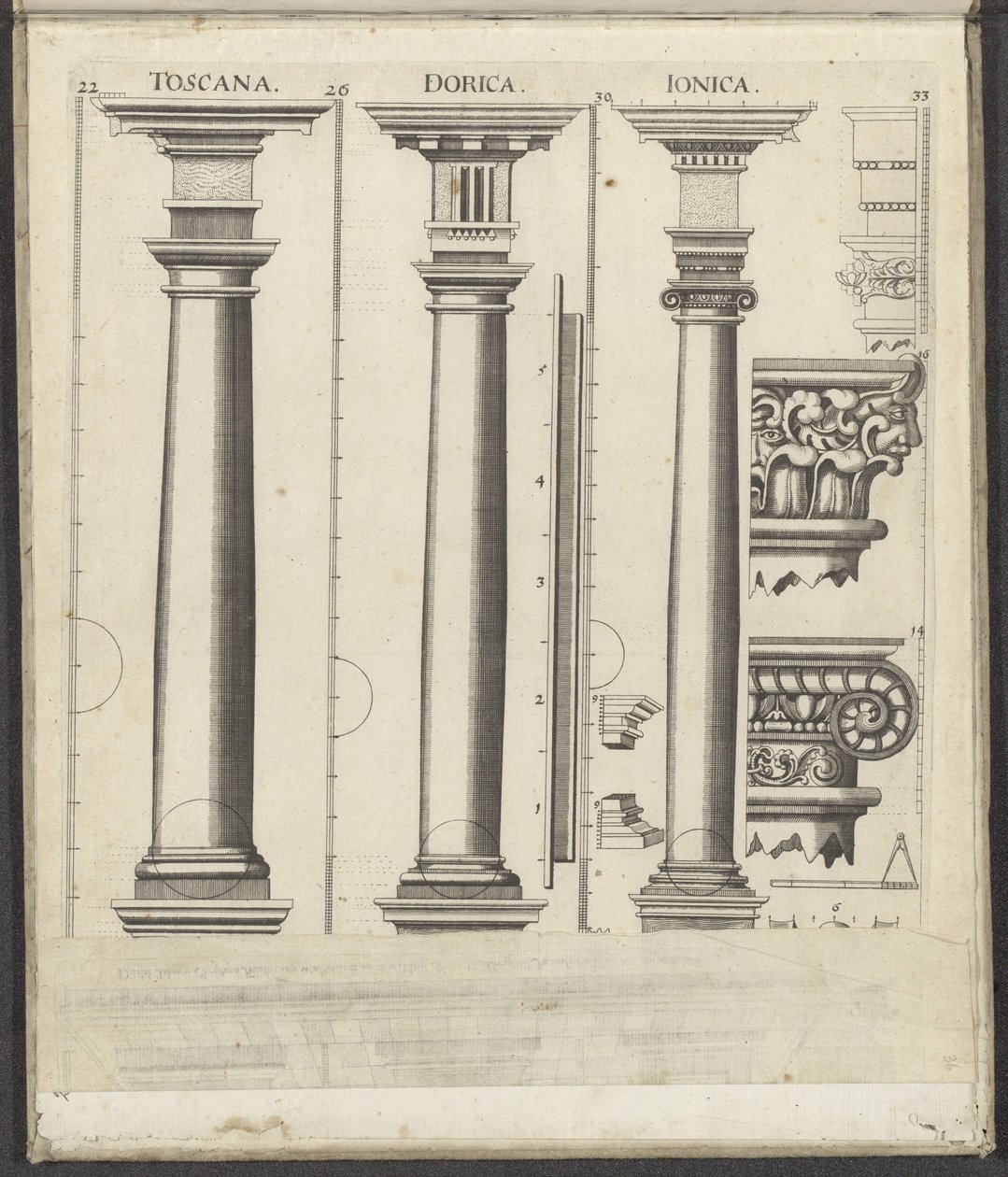 Toskana, Dor ve İyon düzenlerinin üç sütunu Toskana / Dorica / Ionica (nesne üzerindeki başlık) Funf Ordnungen der Architektur (dizi adı) by Johann Christoph Feinlein
